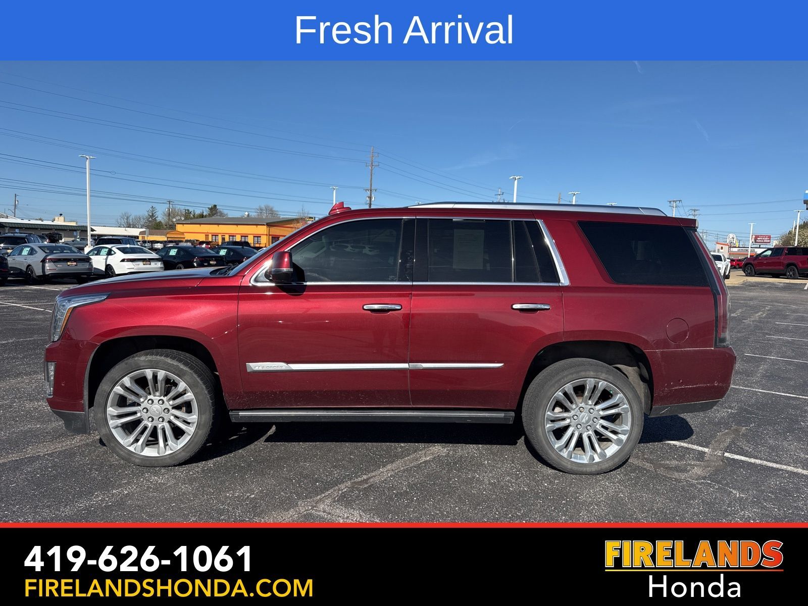 2019 CADILLAC Escalade