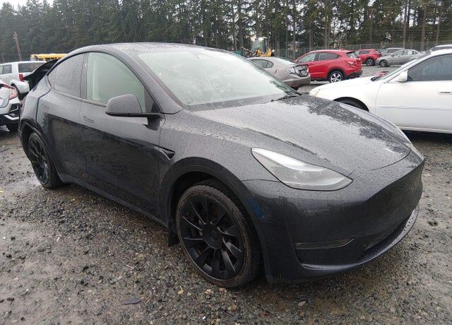 2025 TESLA Model Y