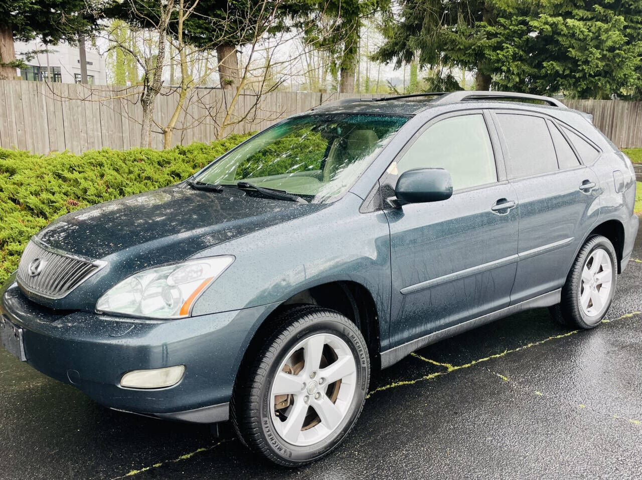 2004 LEXUS RX