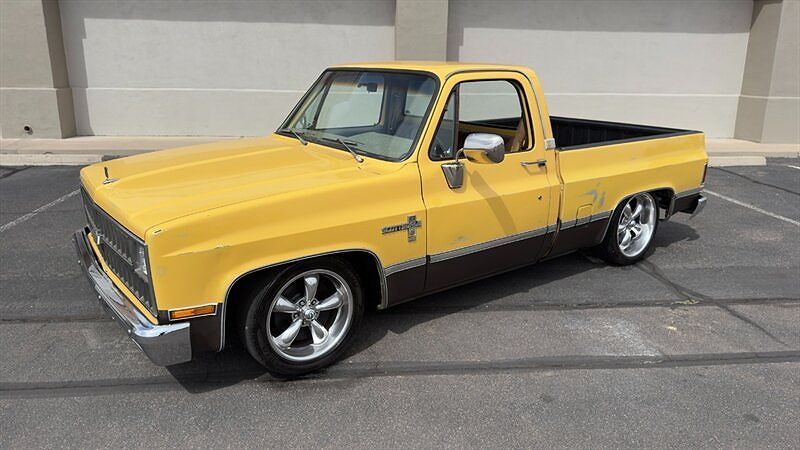 1981 CHEVROLET C/K Pickup