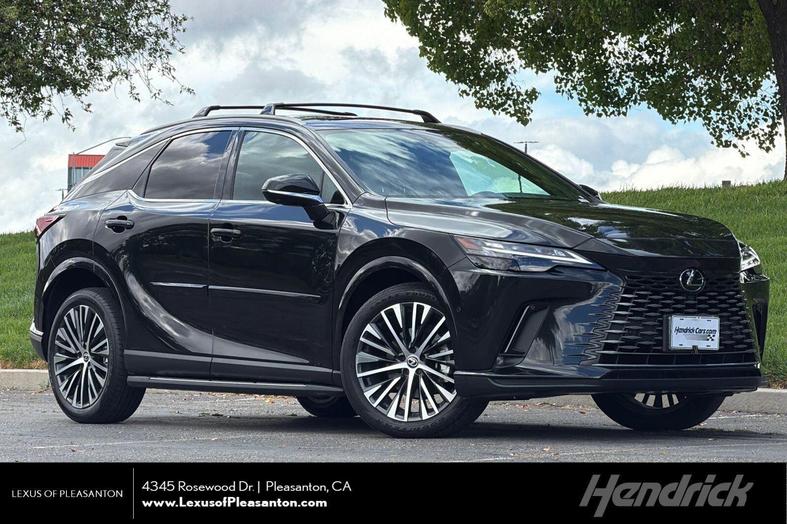2024 LEXUS RX
