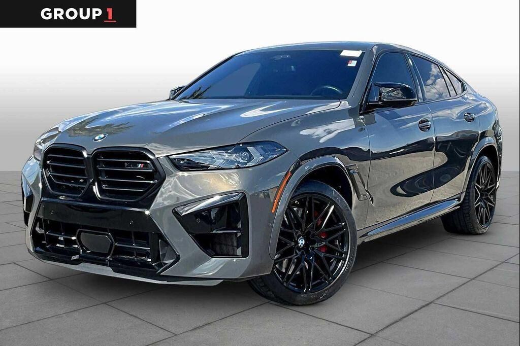 2024 BMW X6