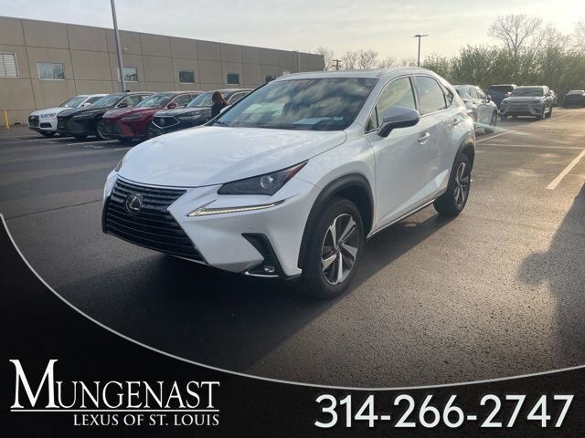 2019 LEXUS NX