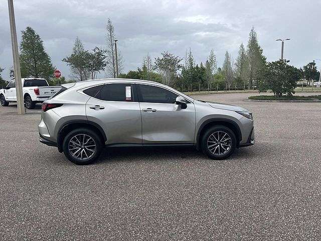 2025 LEXUS NX