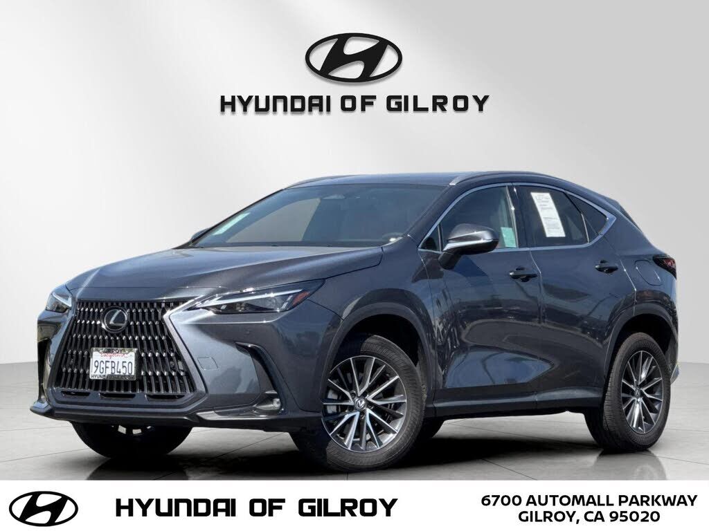 2024 LEXUS NX