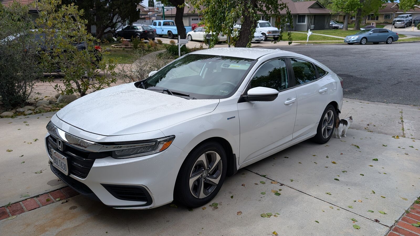 2019 HONDA Insight