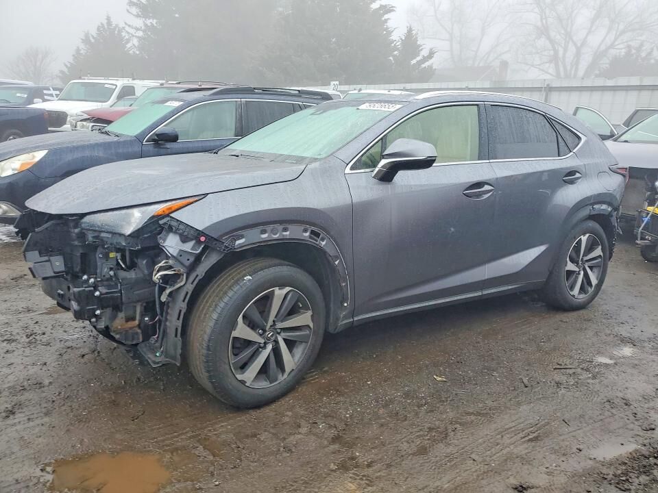 2019 LEXUS NX
