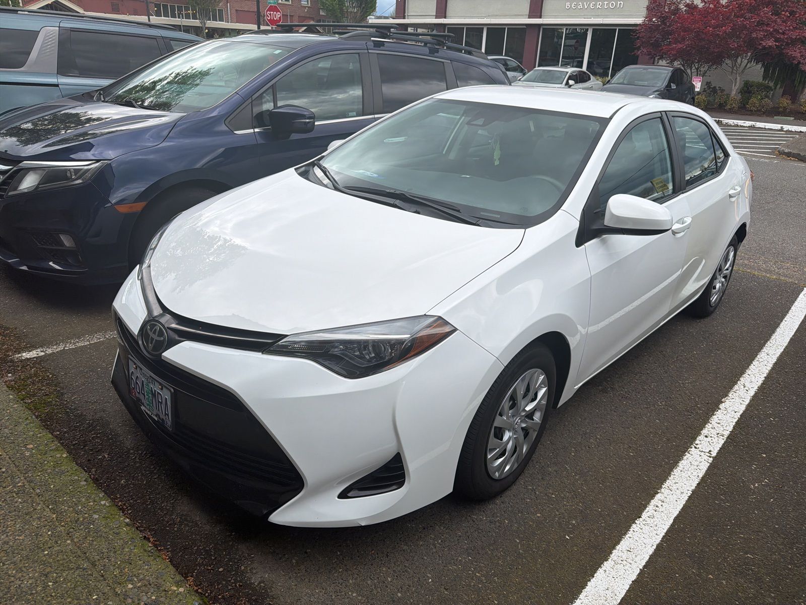 2019 TOYOTA Corolla