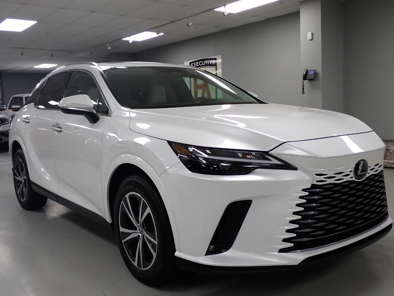 2024 LEXUS RX