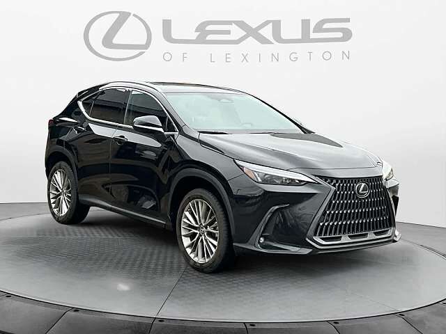 2023 LEXUS NX