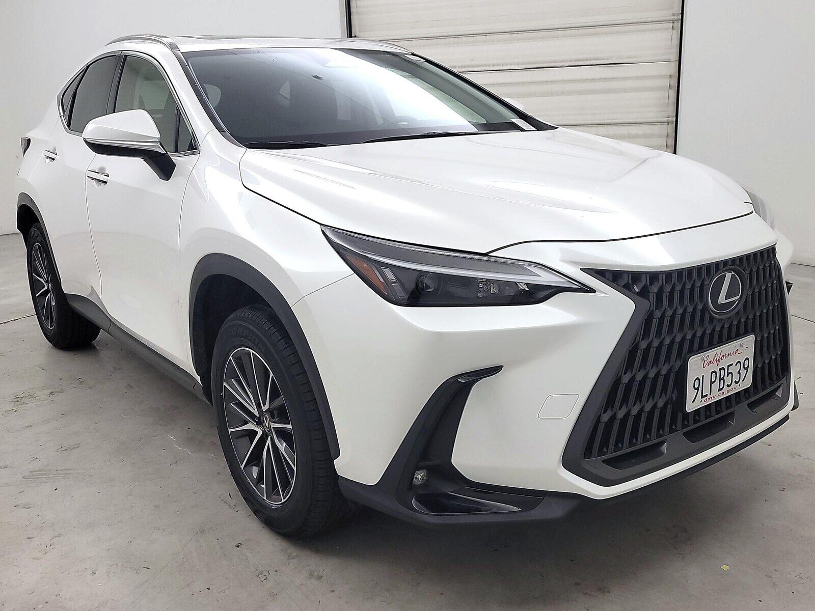 2024 LEXUS NX