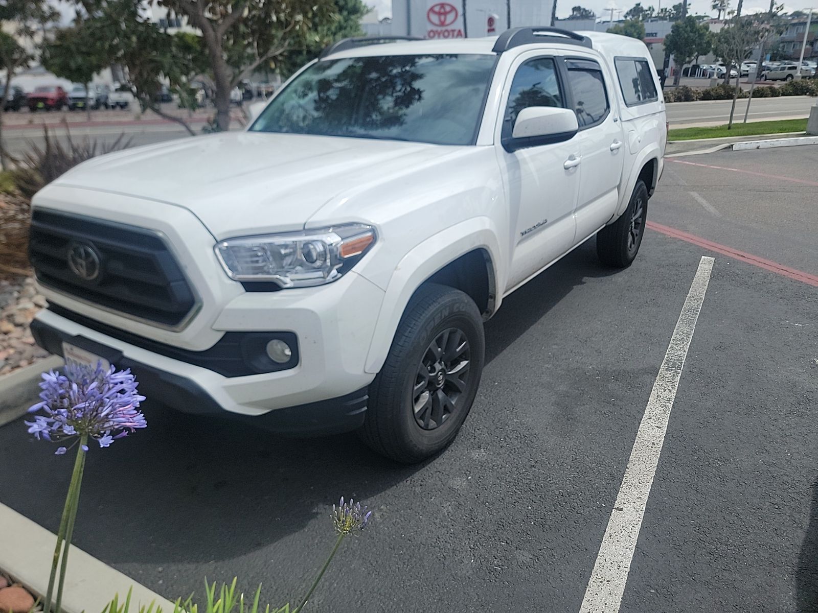 2023 TOYOTA Tacoma