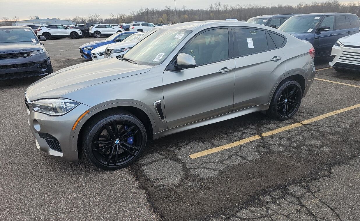 2019 BMW X6