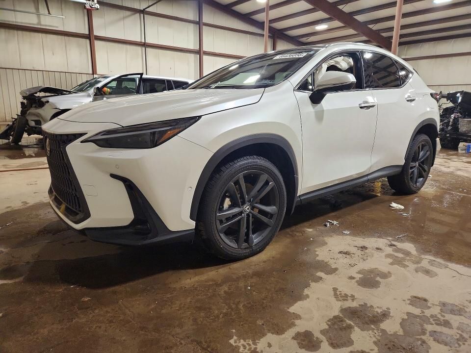 2025 LEXUS NX