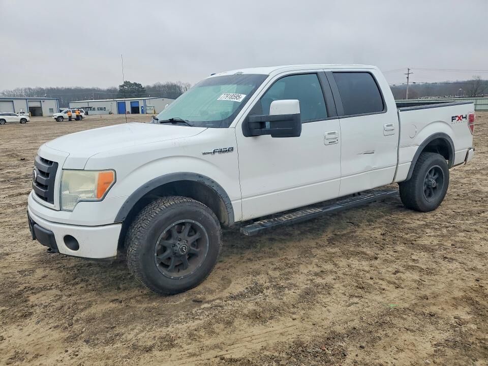 2010 FORD F-150