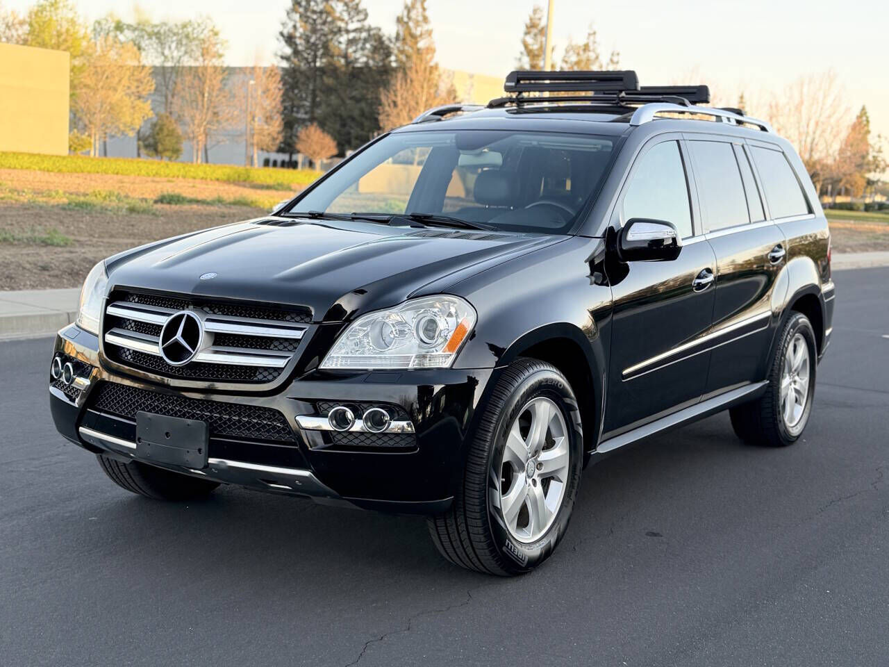 2010 MERCEDES-BENZ GL-Class