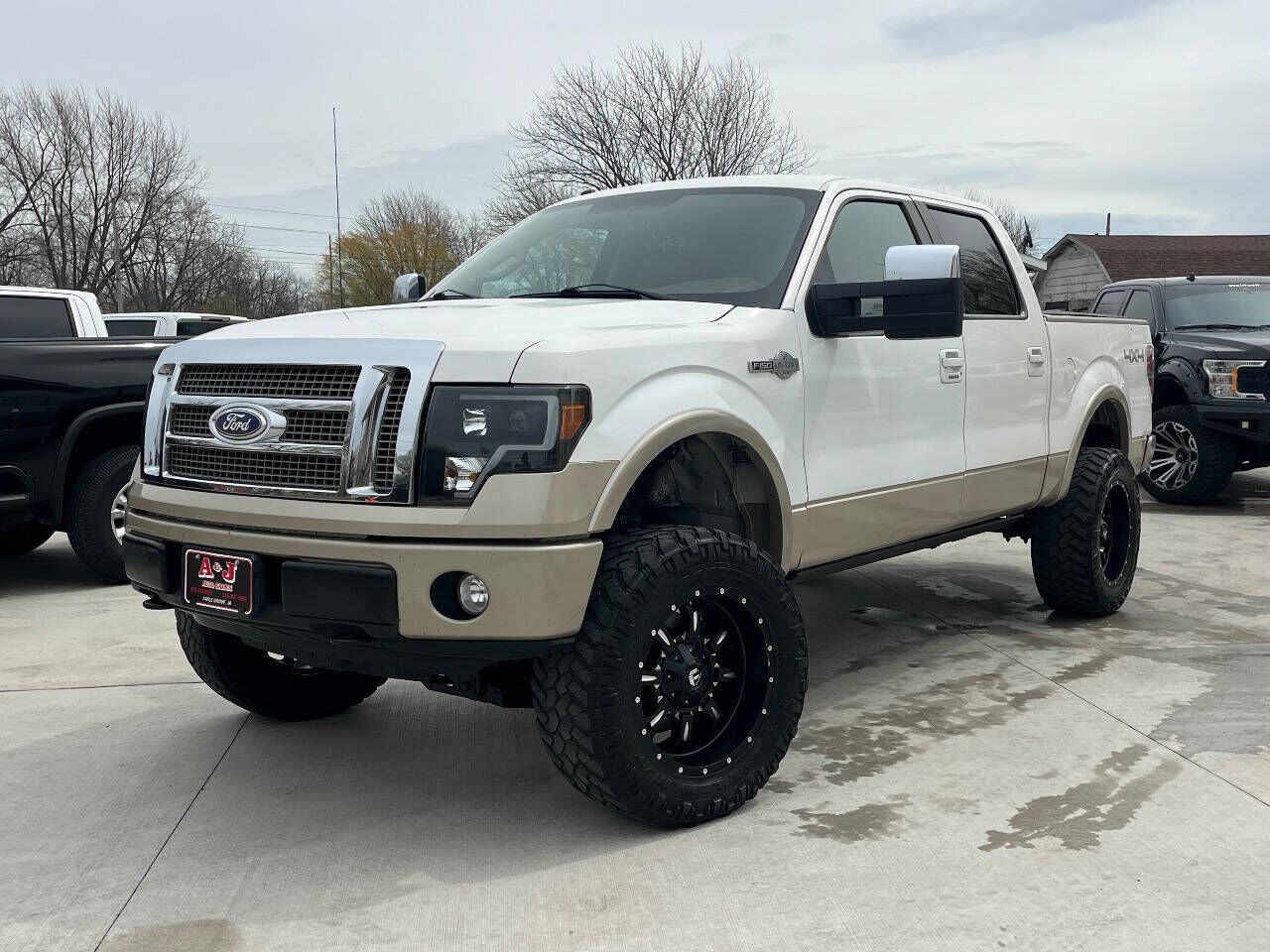2010 FORD F-150