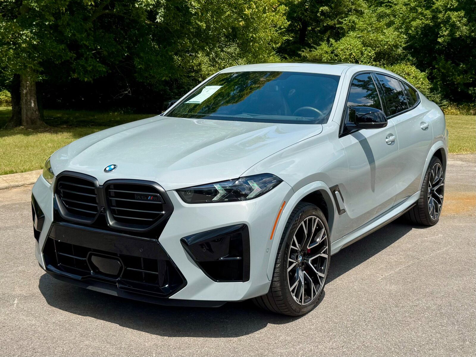 2024 BMW X6