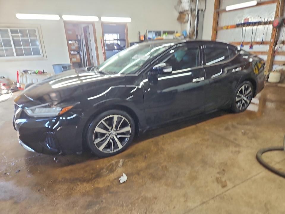 2019 NISSAN Maxima