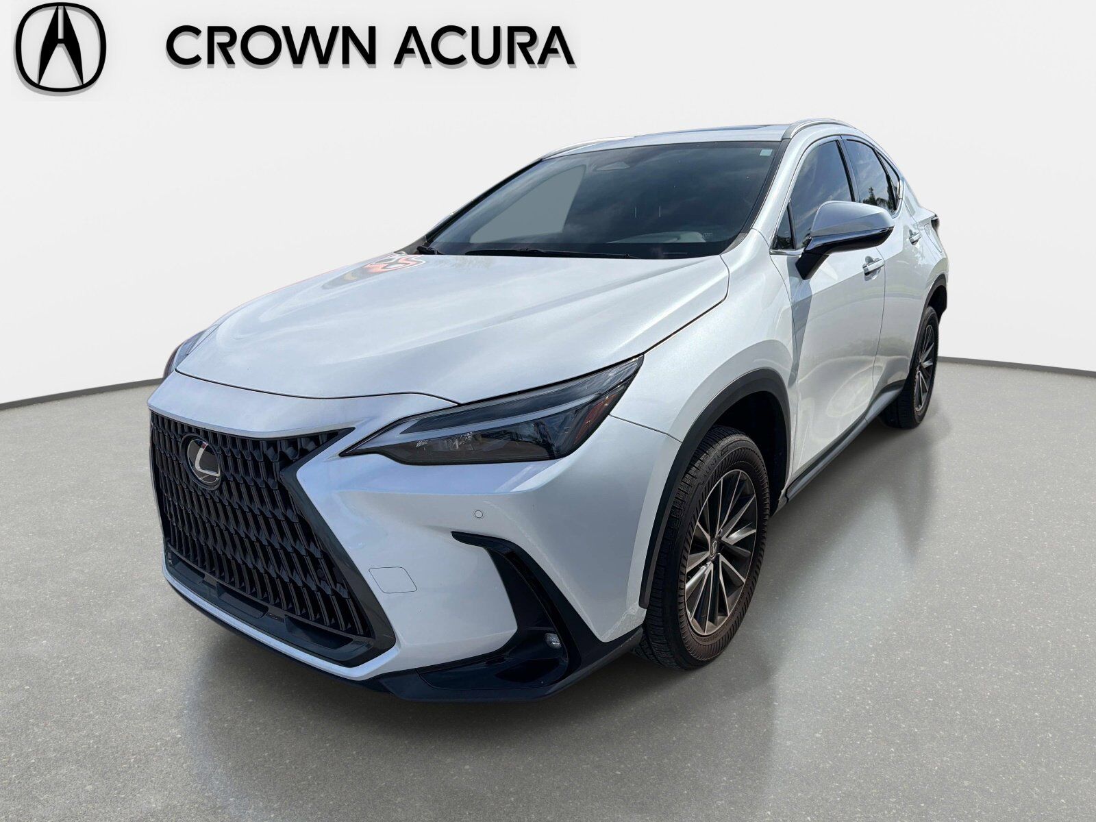 2024 LEXUS NX