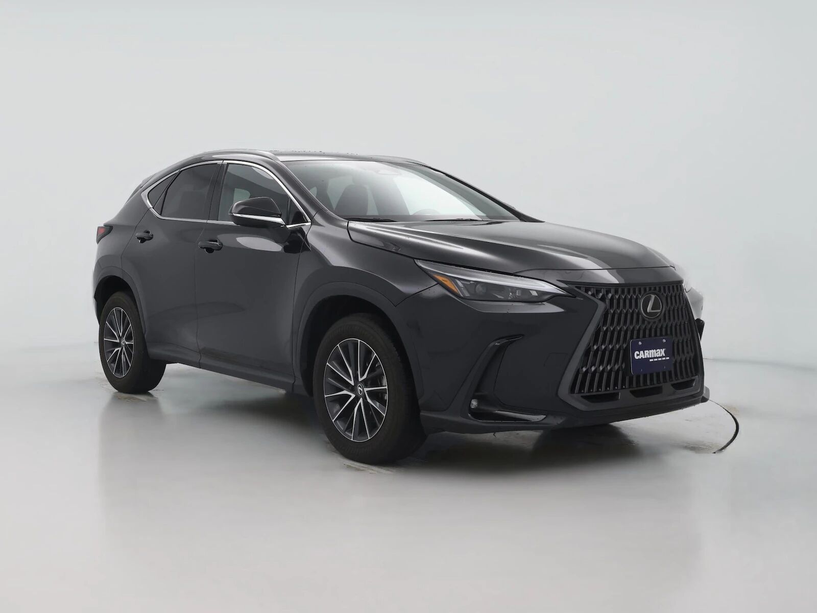 2024 LEXUS NX