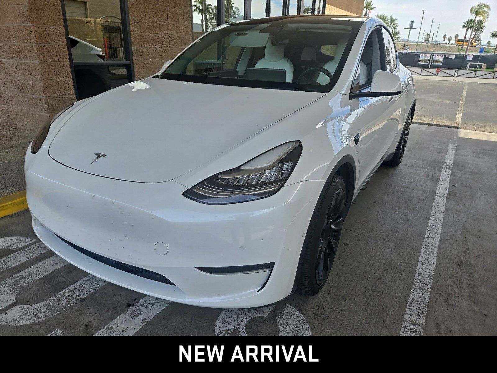 2020 TESLA Model Y