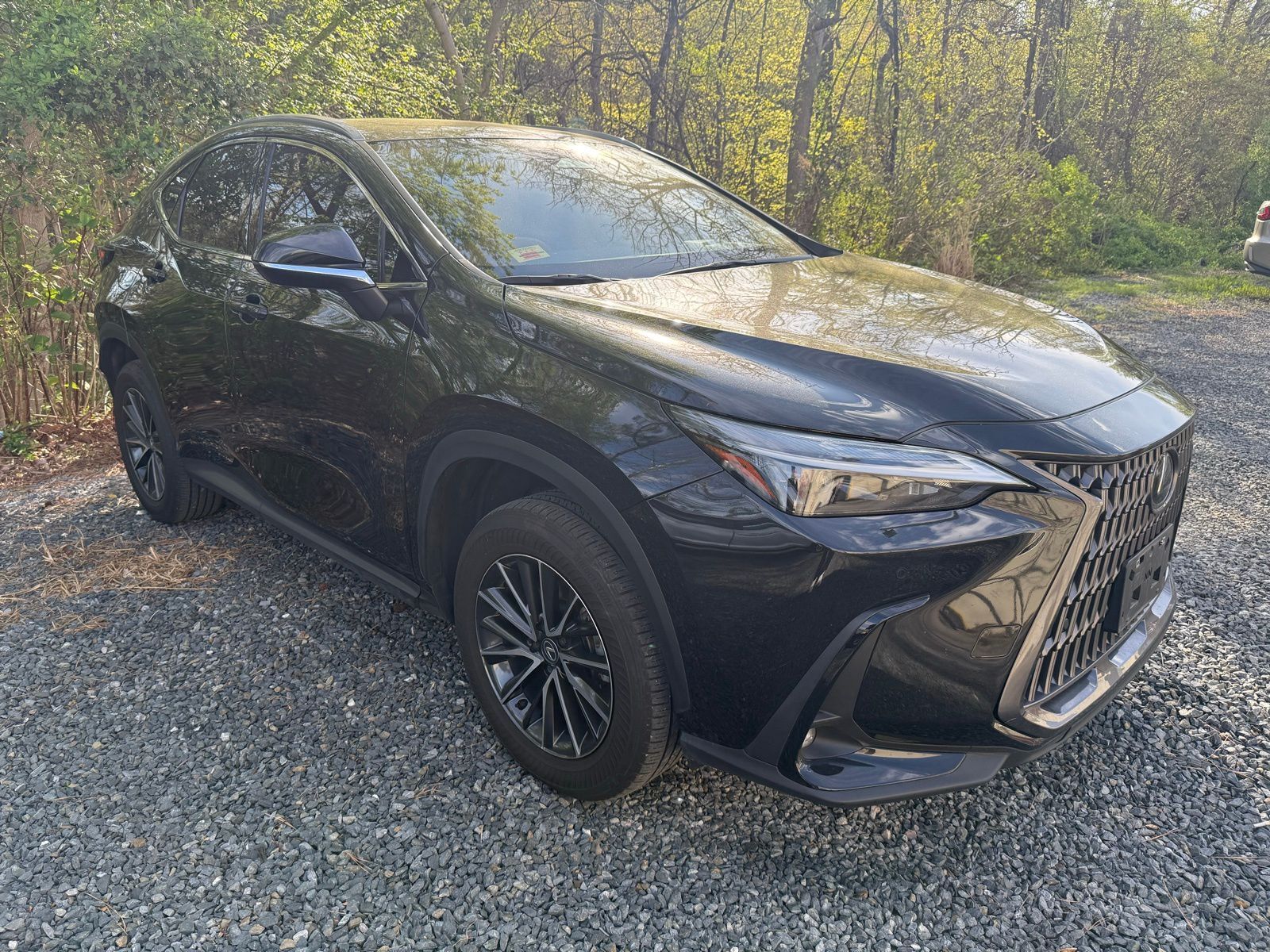 2024 LEXUS NX