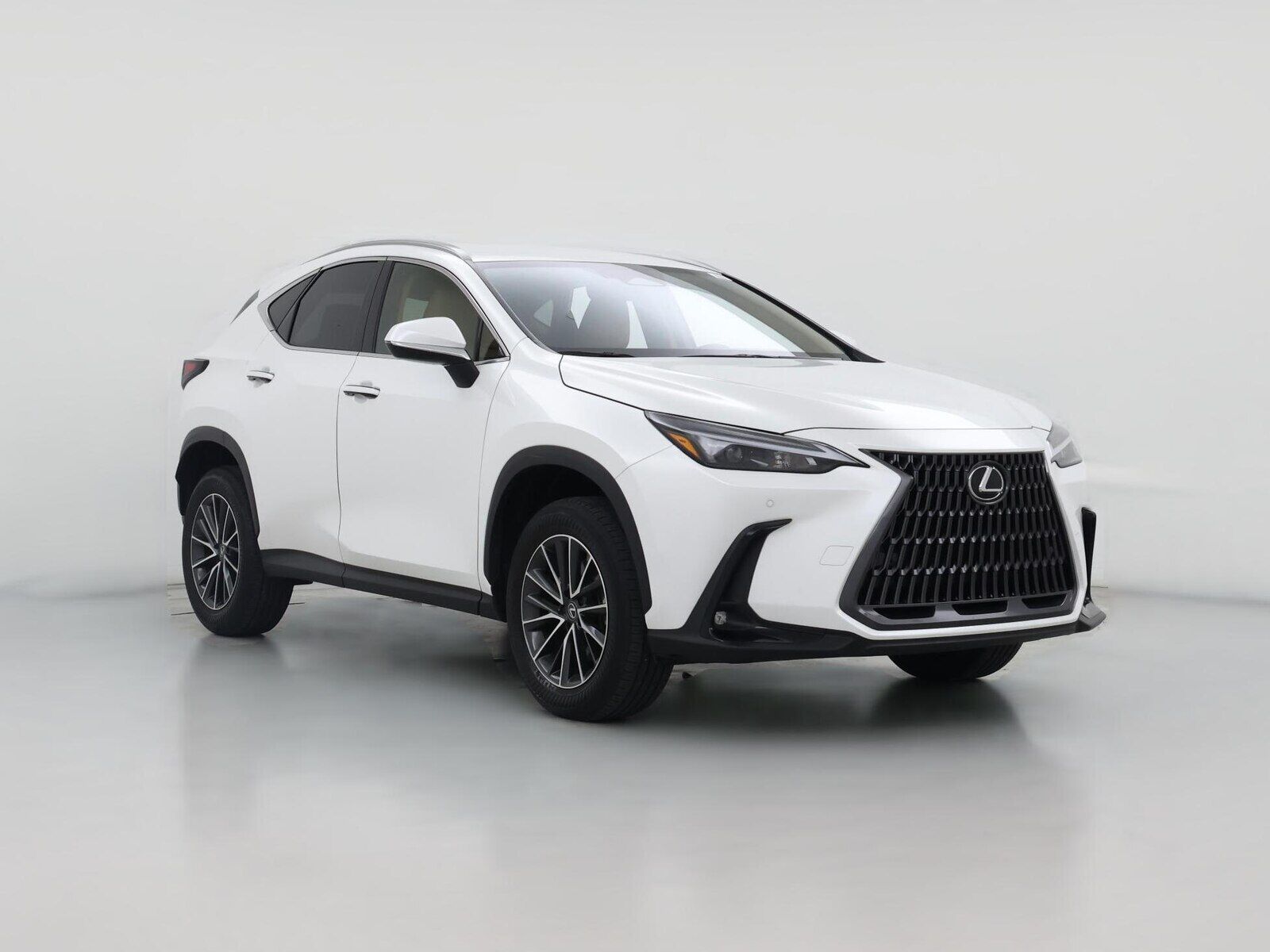 2025 LEXUS NX