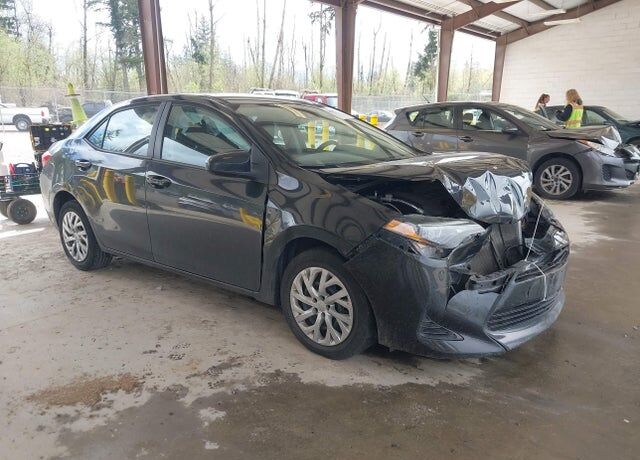 2019 TOYOTA Corolla