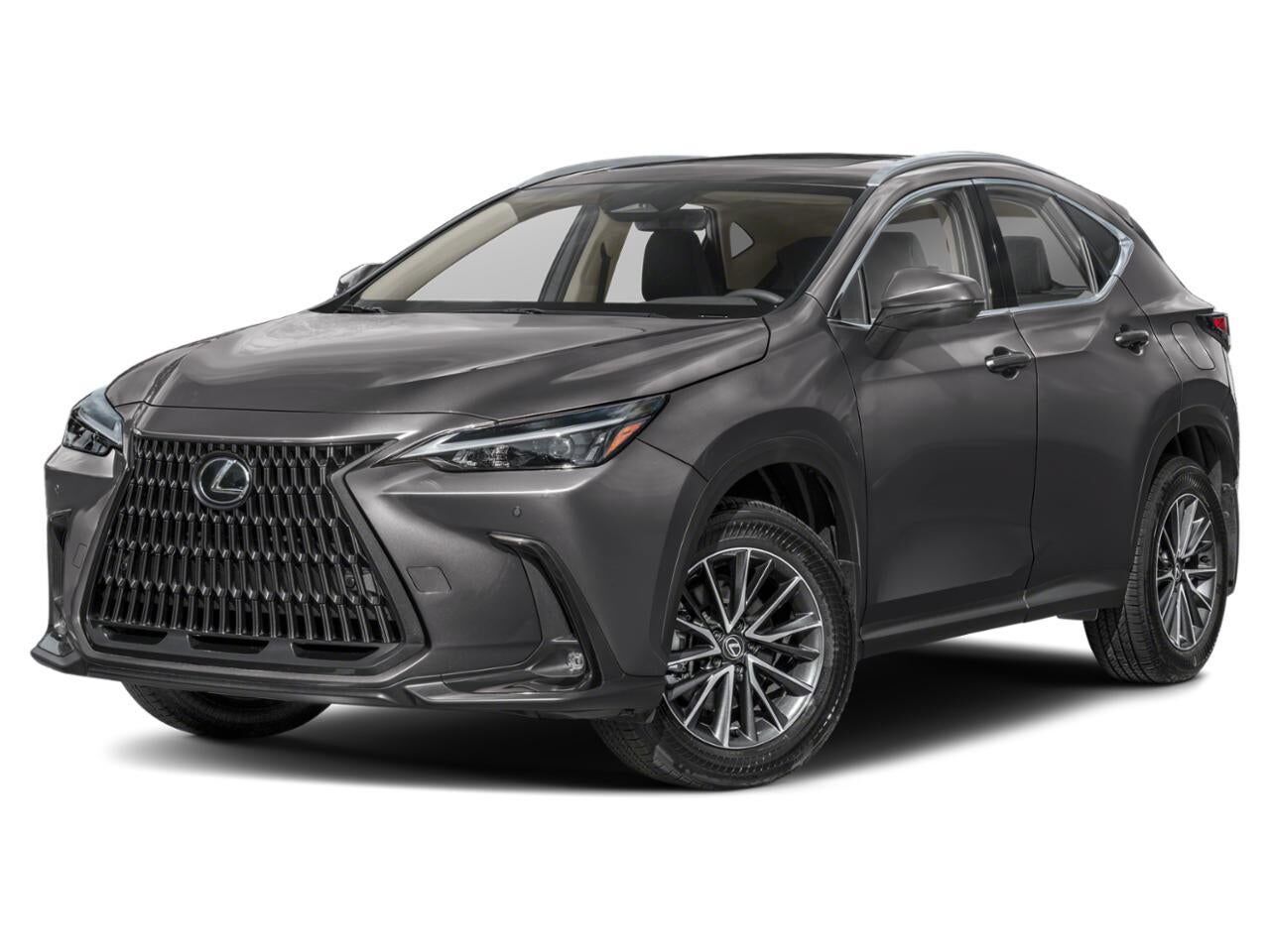 2024 LEXUS NX