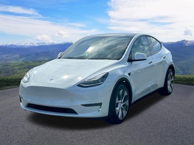 2020 TESLA Model Y