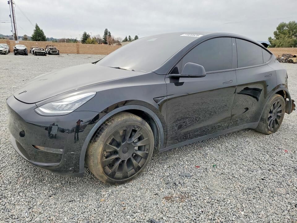 2021 TESLA Model Y