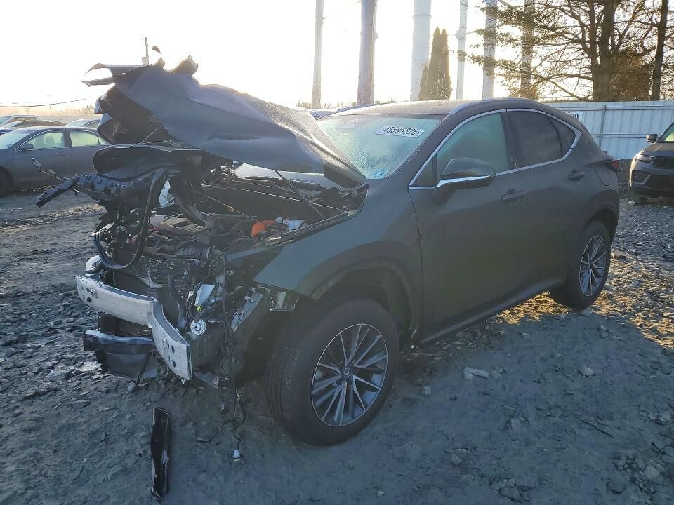 2026 LEXUS NX