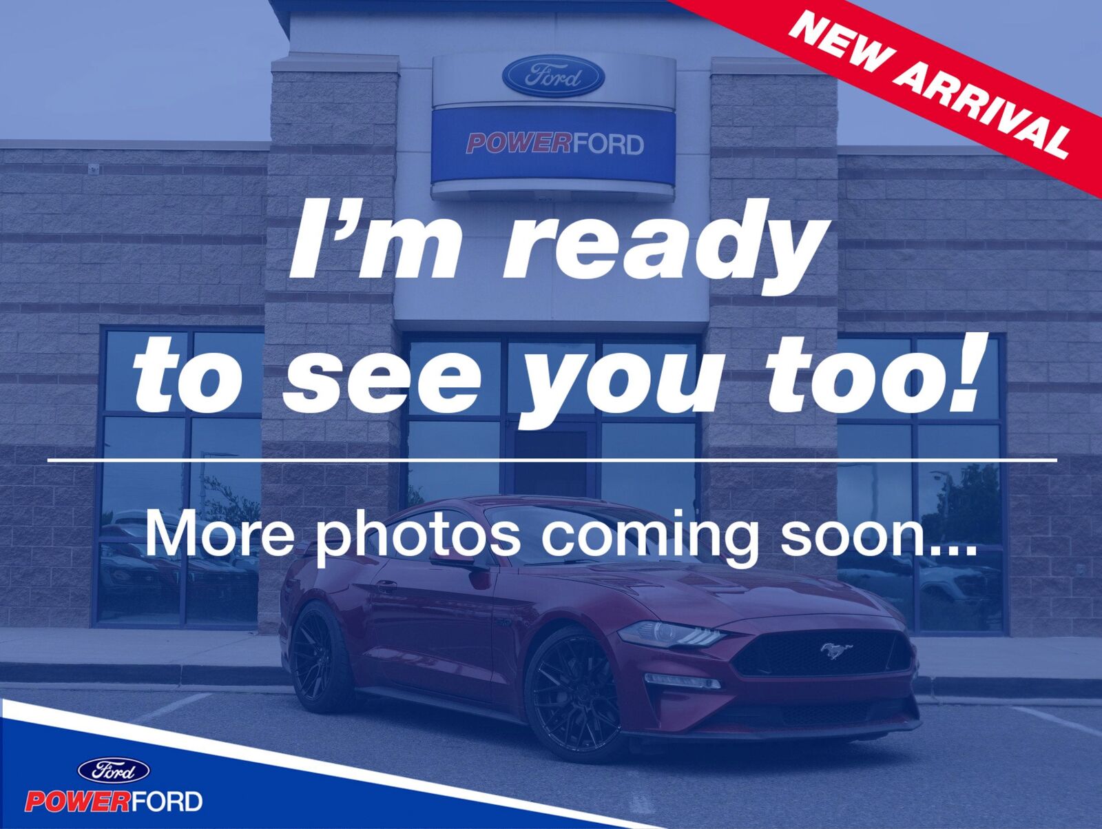 2019 FORD Mustang