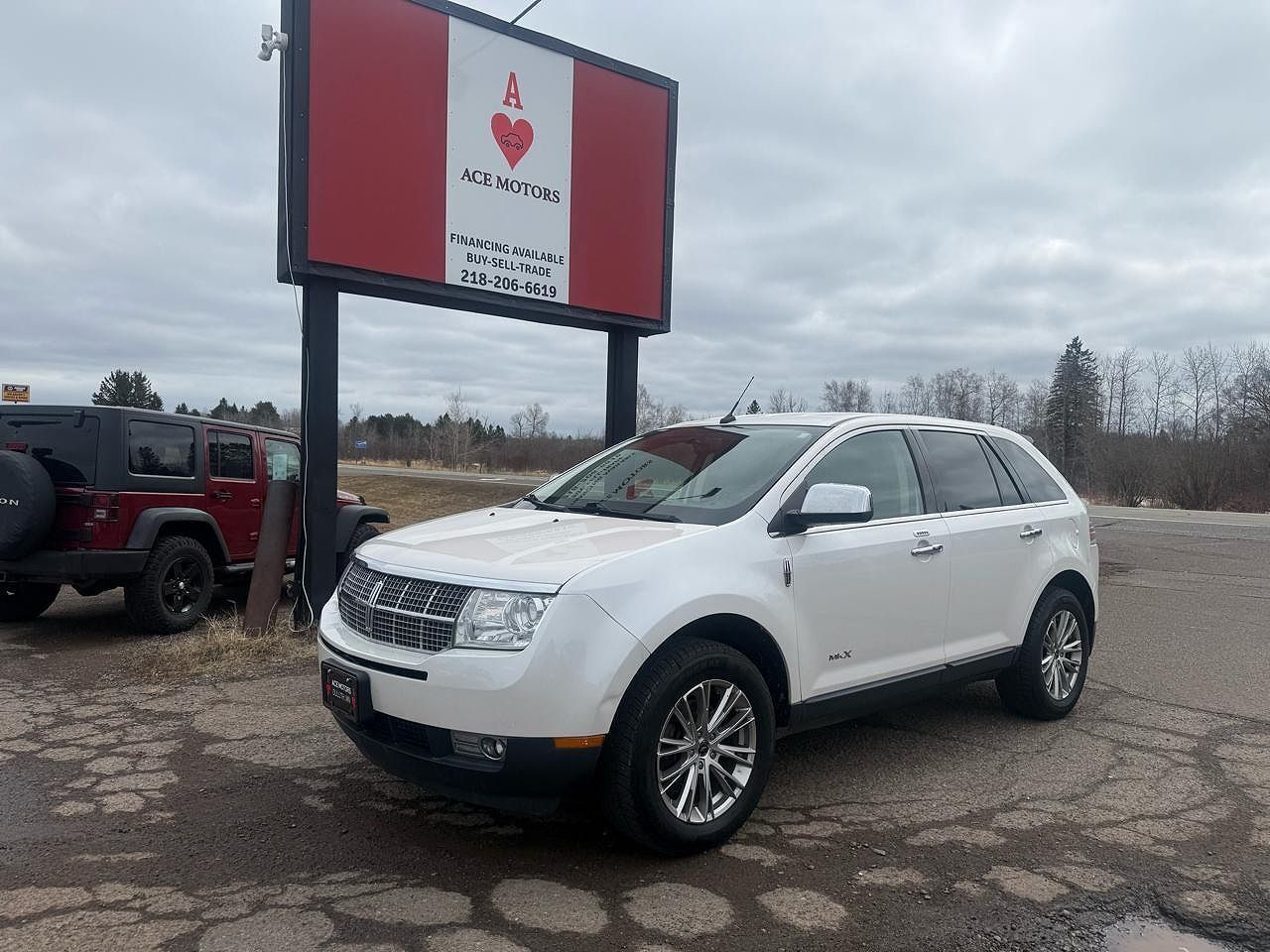 2010 LINCOLN MKX
