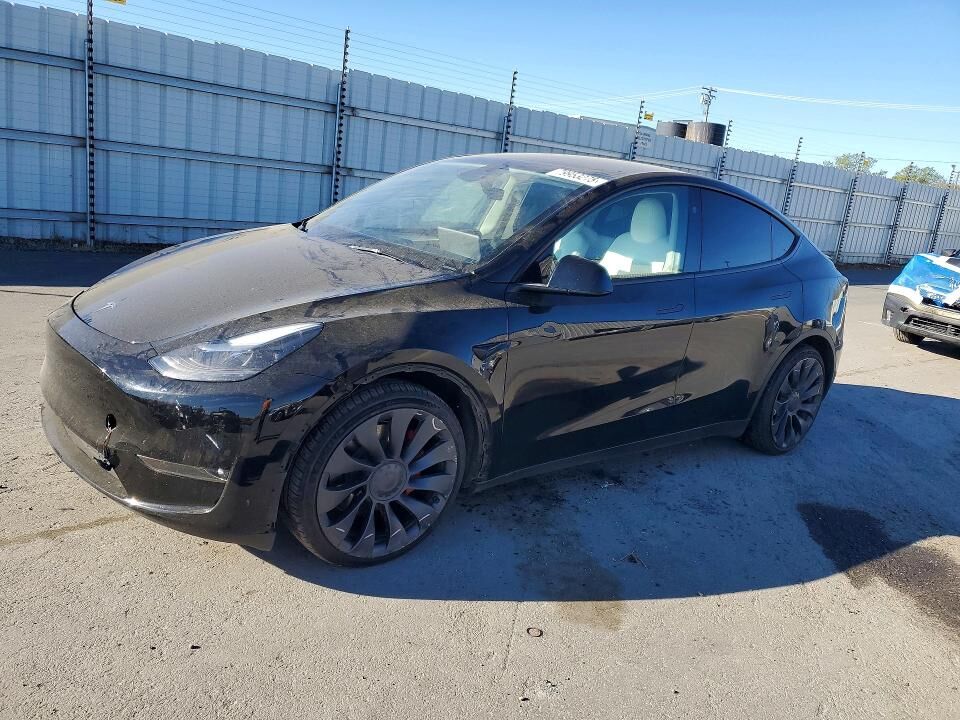 2024 TESLA Model Y