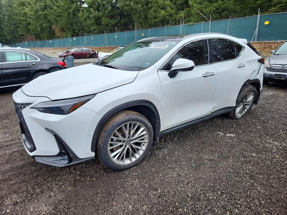 2026 LEXUS NX