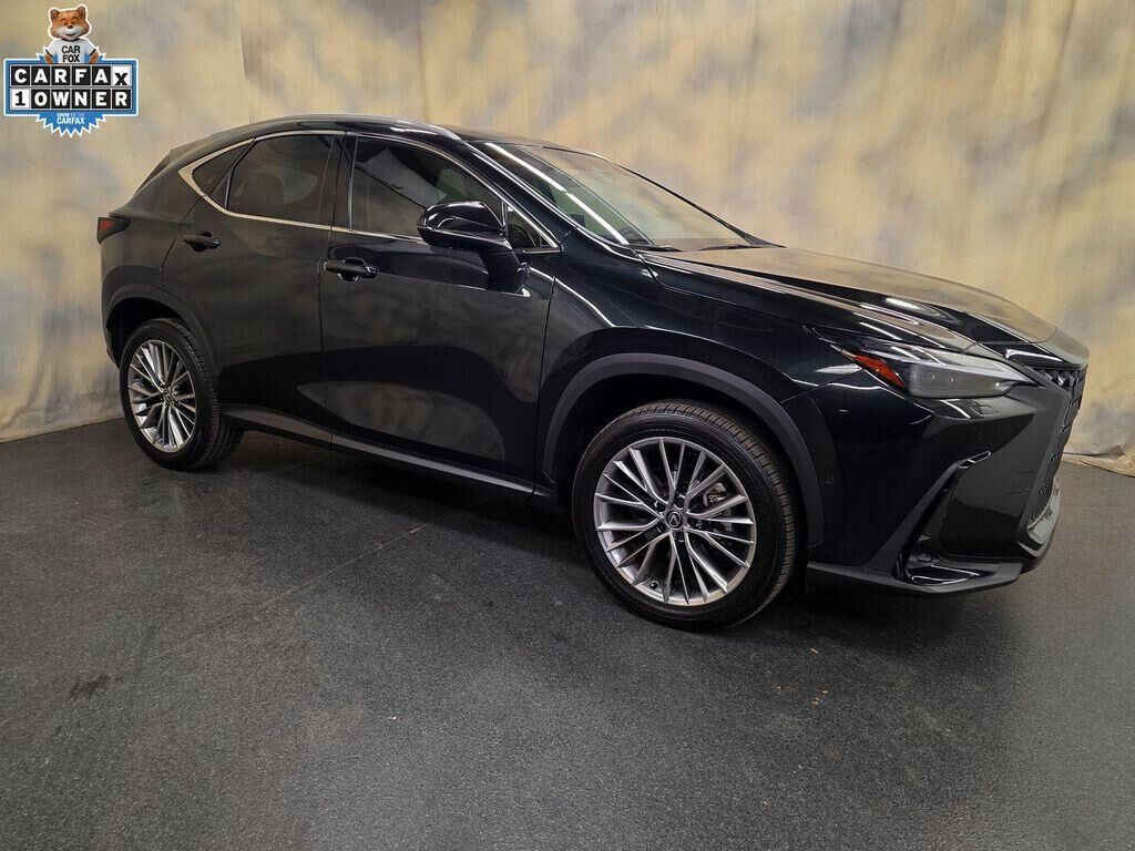 2025 LEXUS NX
