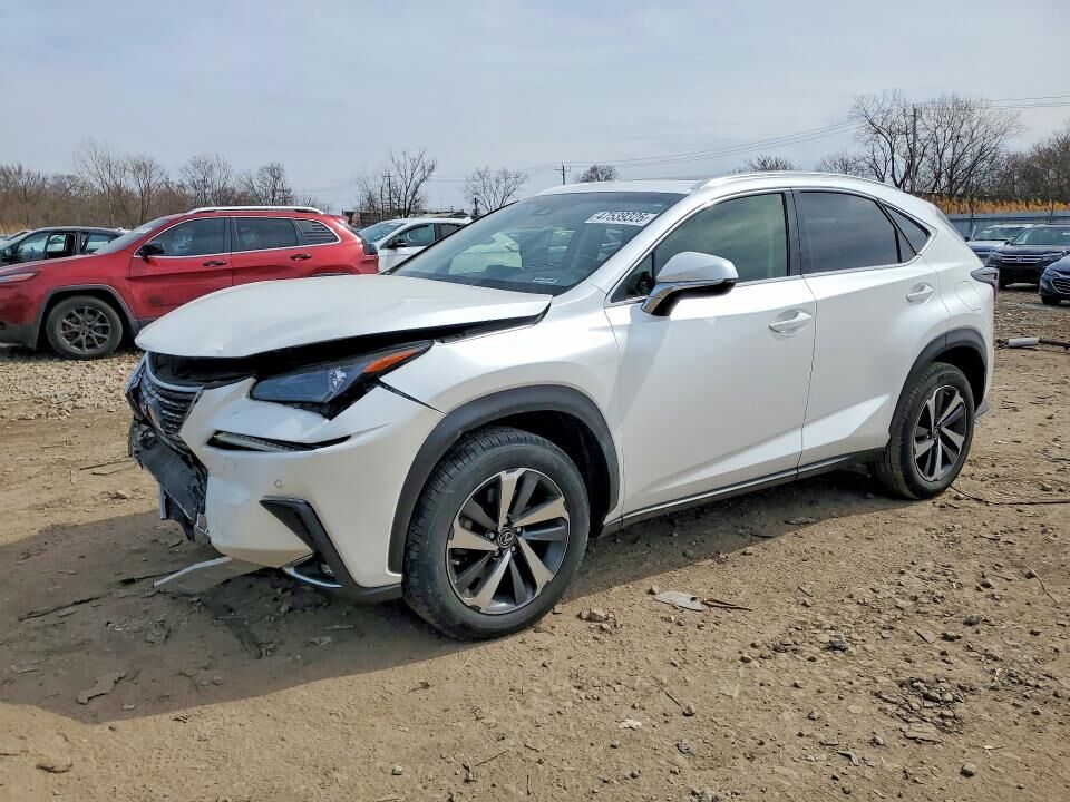 2019 LEXUS NX