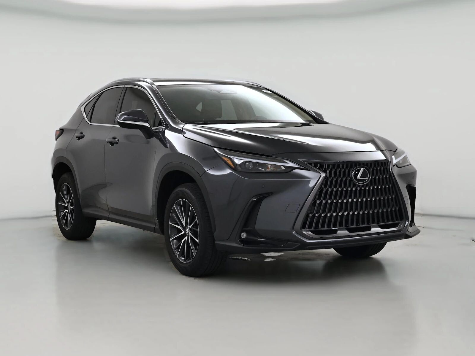 2024 LEXUS NX
