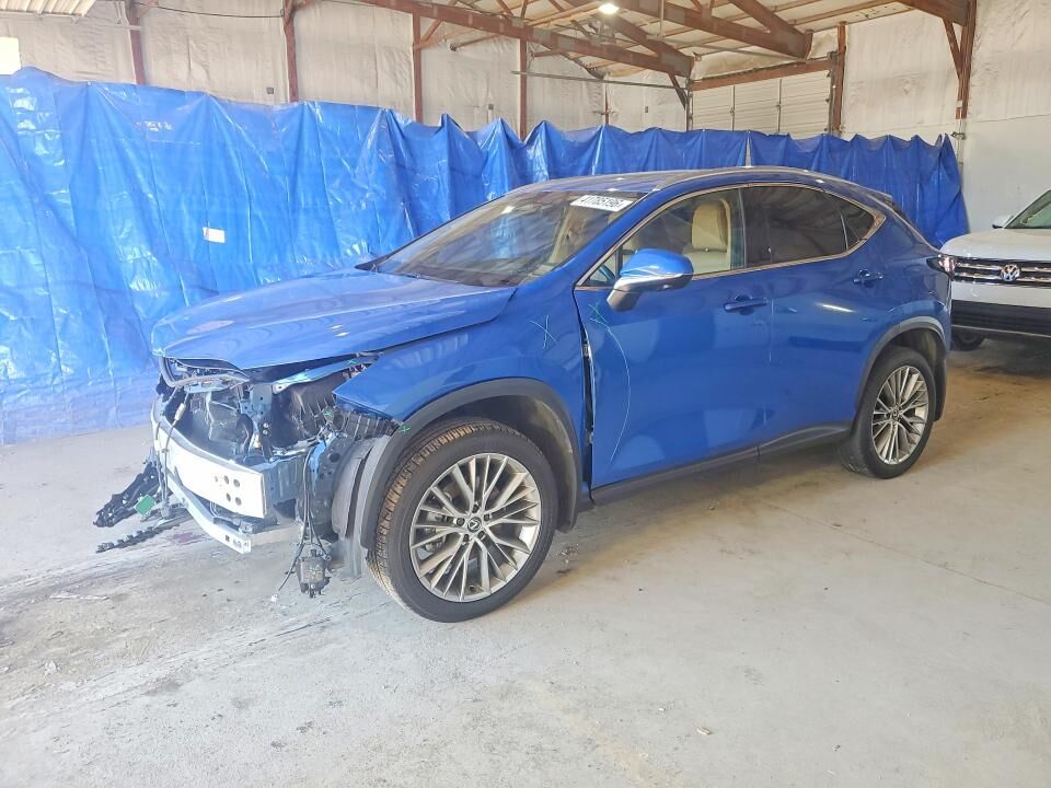 2025 LEXUS NX