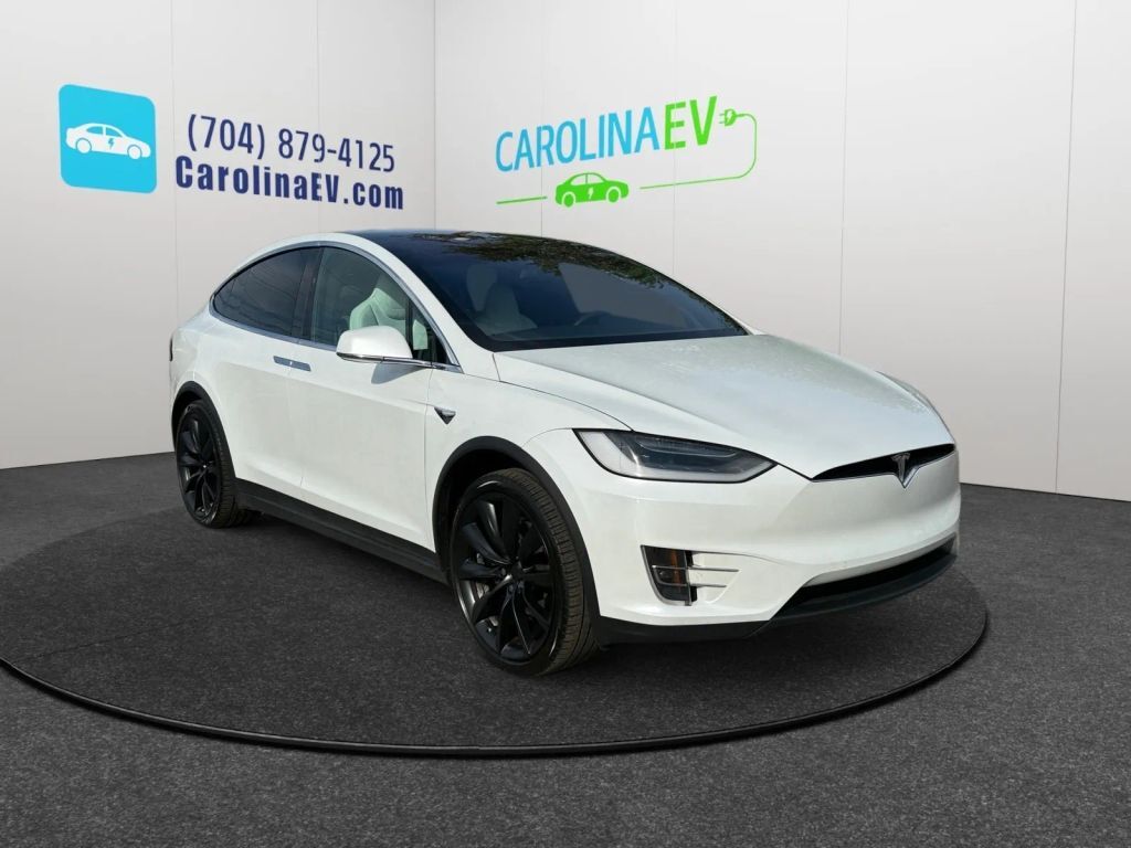 2019 TESLA Model X