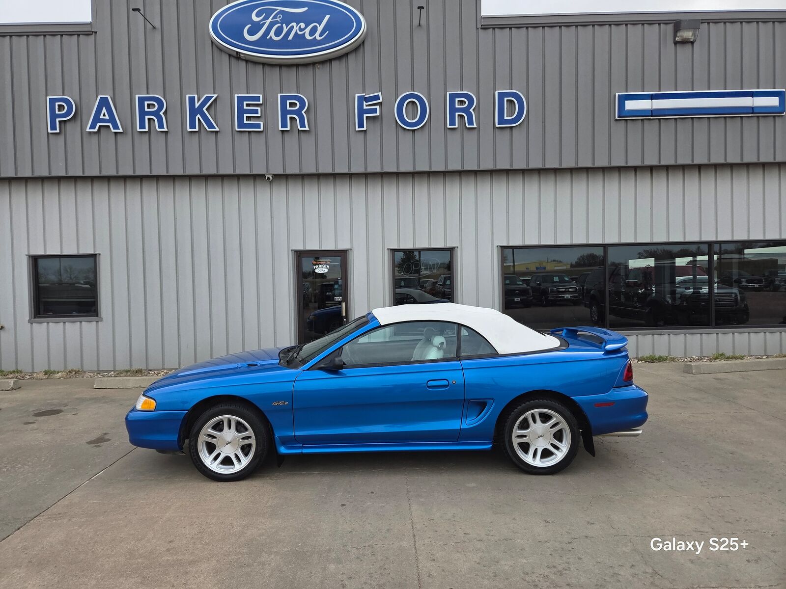 1998 FORD Mustang