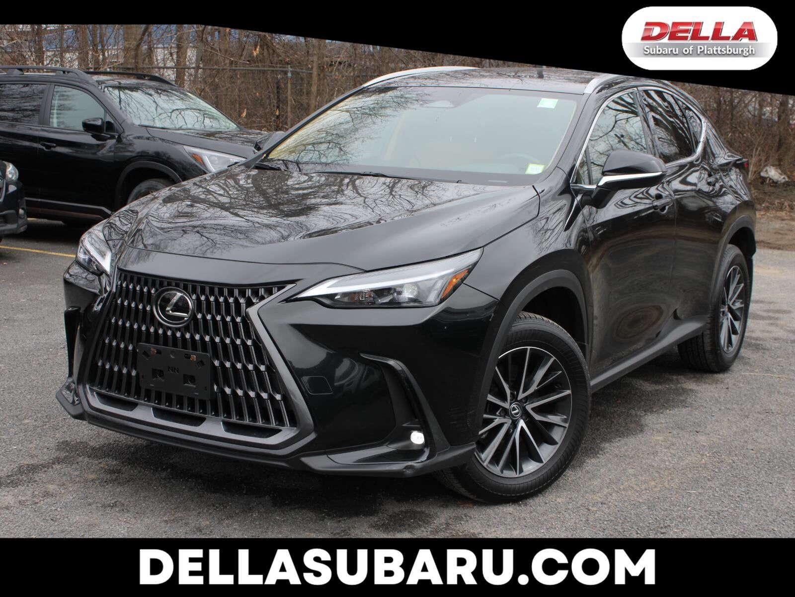 2024 LEXUS NX