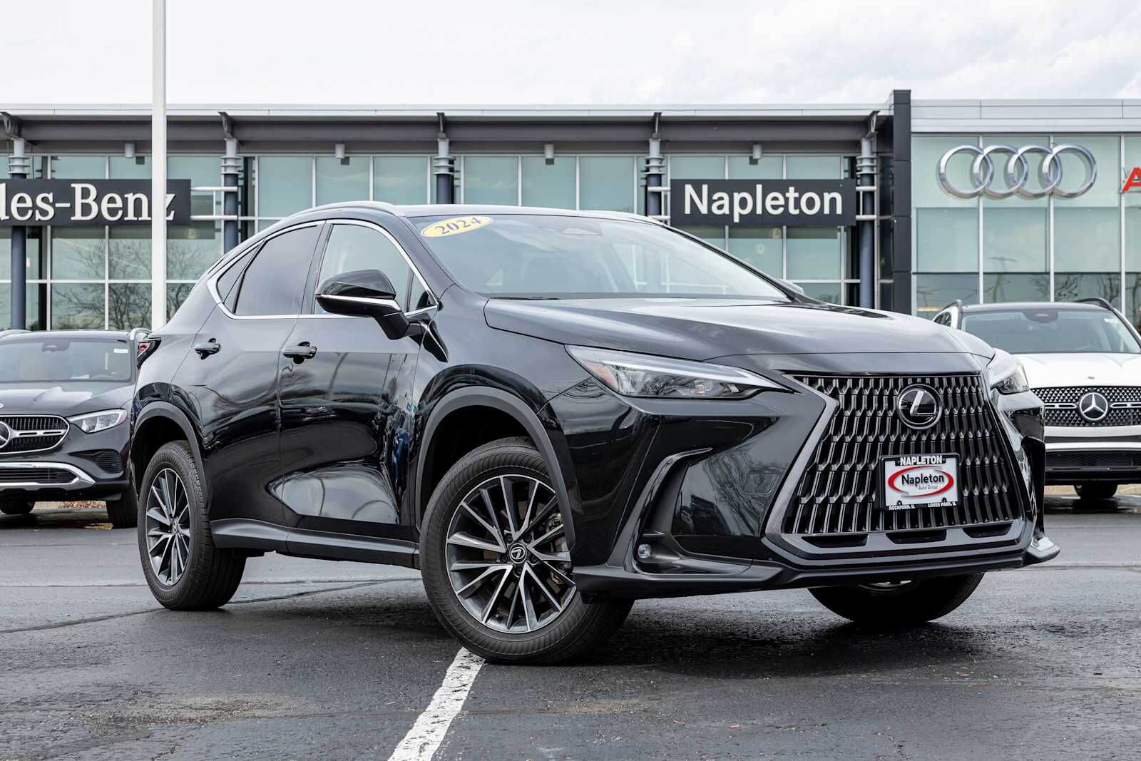 2024 LEXUS NX