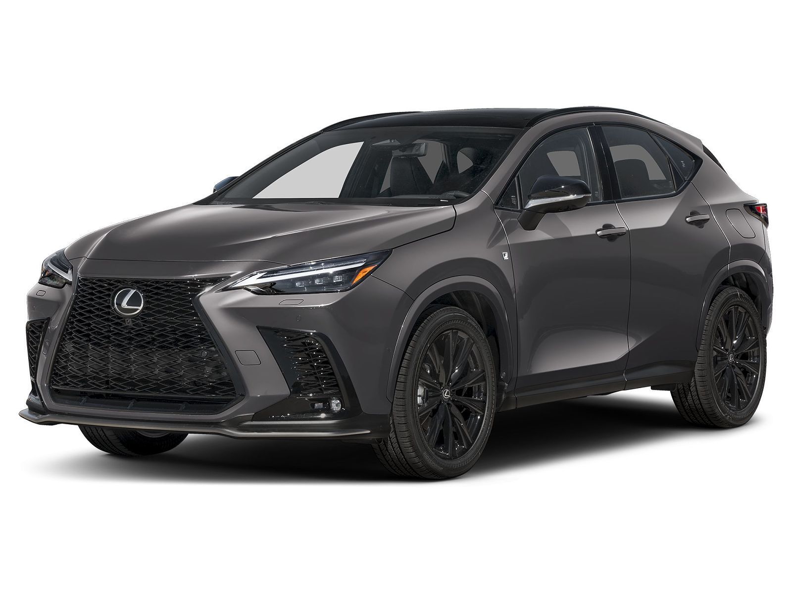 2026 LEXUS NX