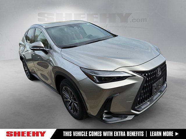 2025 LEXUS NX