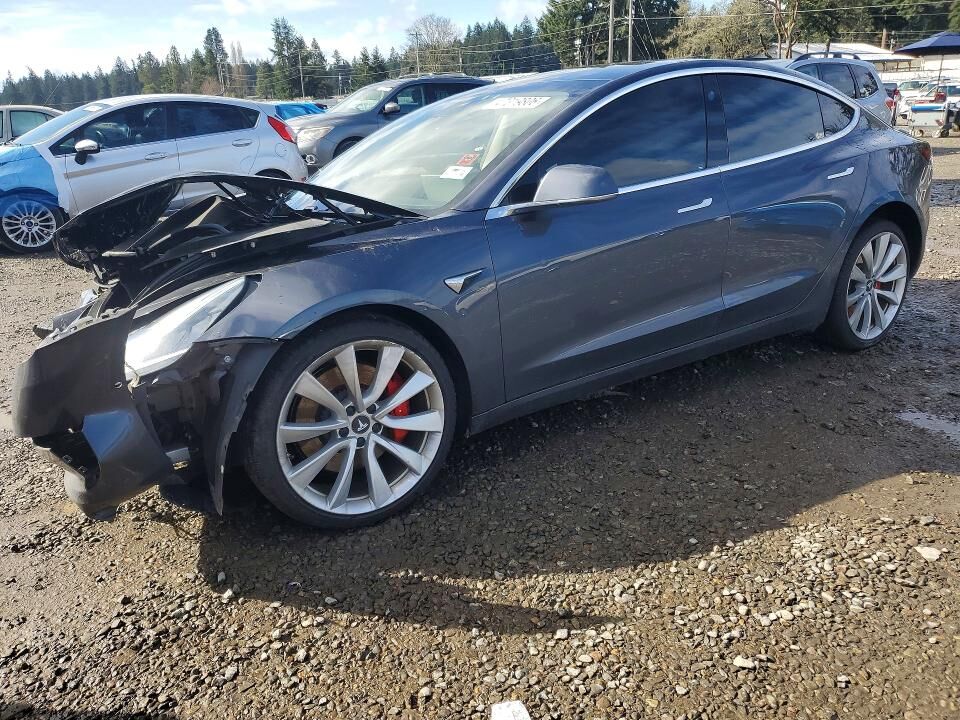 2019 TESLA Model 3