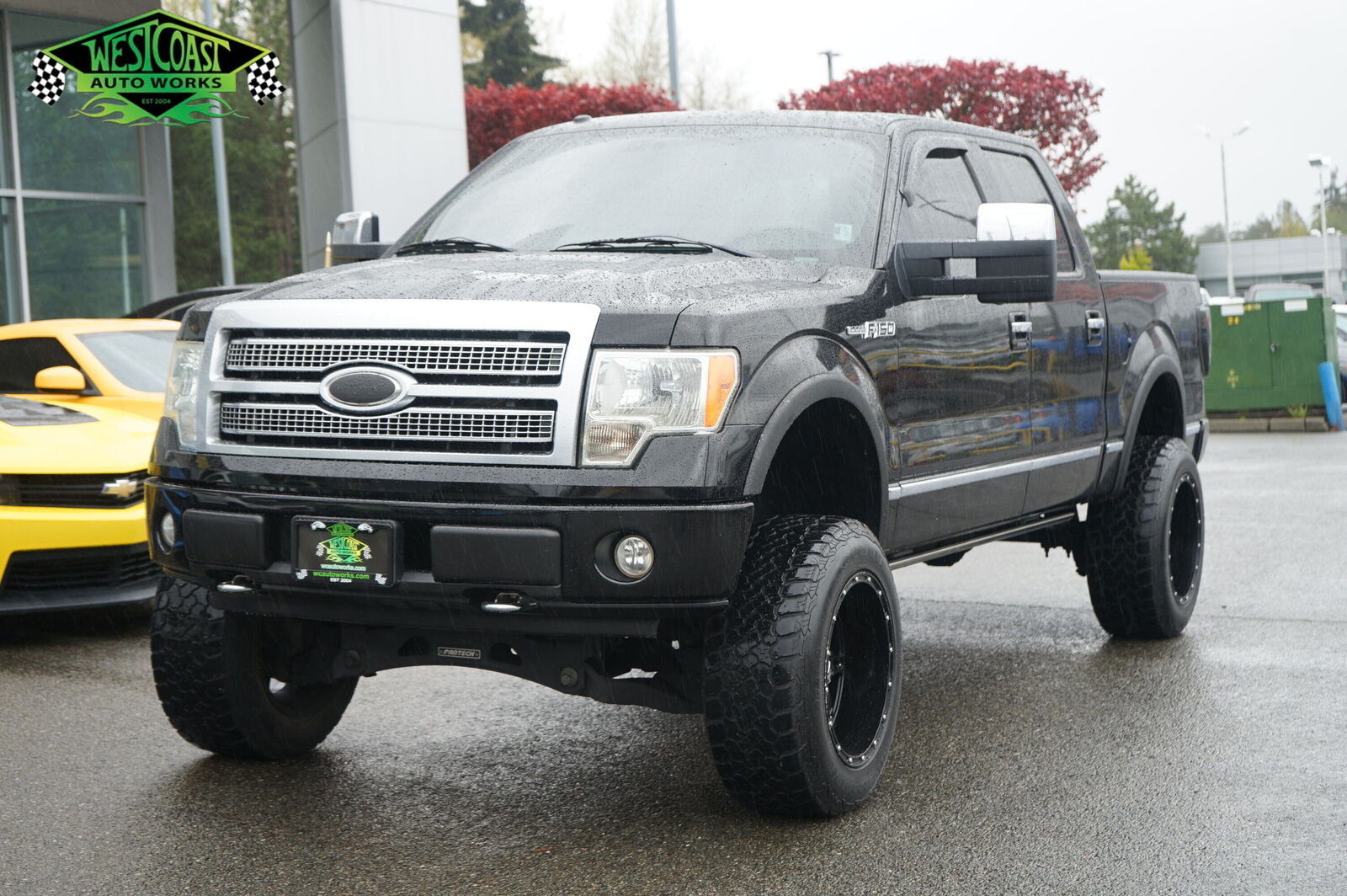 2009 FORD F-150