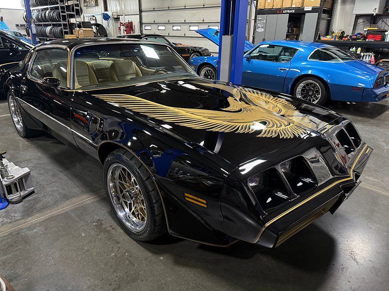 1981 PONTIAC Firebird